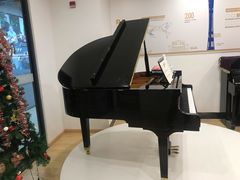 -珠江钢琴艺术中心(文一路店)