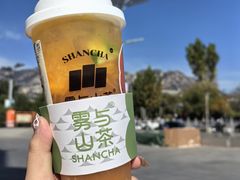 -雾与山茶(大禹城店)