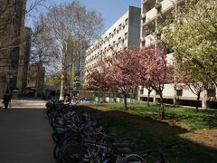 -山东大学(千佛山校区)