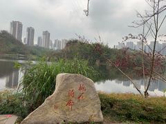 -重庆彩云湖湿地公园