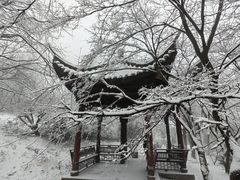 -四明山国家森林公园