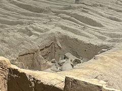 -秦始皇帝陵博物院(兵马俑)