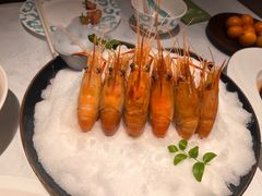 -桂满陇·海市蜃楼·黑金(国金店)