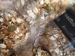-BreadTalk面包新语·烘焙蛋糕(金光华广场店)