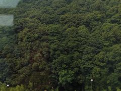 -宁波九龙湖开元度假村