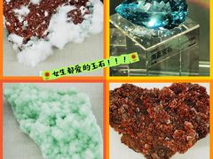 -中国地质博物馆