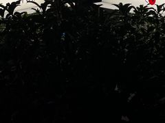 -MEDISN·药厂