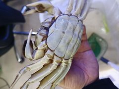 -祥鹤龙虾螃蟹