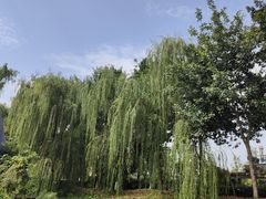 -成飞公园