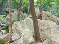 -洛阳花果山景区