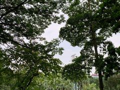 -晓港公园