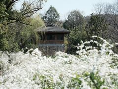-中国茶叶博物馆(双峰馆区)