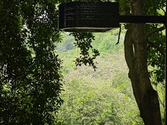 -南山植物园