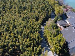 -池州市平天湖风景区