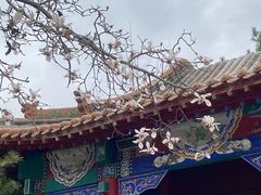 -碑林公园