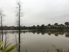 -美的鹭湖森林度假区