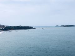 -自由之丘