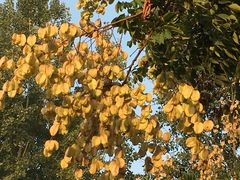 -长安大学(北校区)