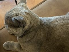 -Me Coffee下午茶艺术空间