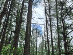 -龙峪湾国家森林公园
