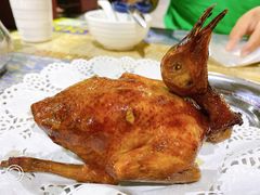 -石岐乳鸽村(南海第三分店)
