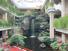 -白天鹅宾馆-宏图府餐厅