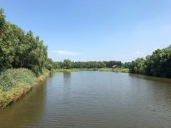 -白渔泡湿地公园