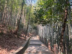 -敬亭山风景名胜区