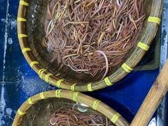 -东江海鲜酒家(艺都分店)