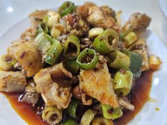 -天一沾水肥肠(科园一街店)
