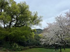 -中国茶叶博物馆(双峰馆区)