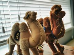 -大连市皮肤病医院