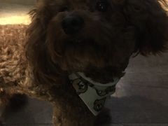 -M-3 PUB(创智天地店)
