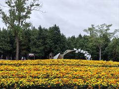-同里国家湿地公园