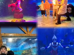 -顺德南宏海立方海洋公园