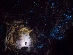 -怀托摩萤火虫洞