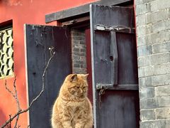 -晋祠博物馆