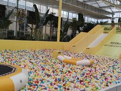 -南宫五洲植物乐园