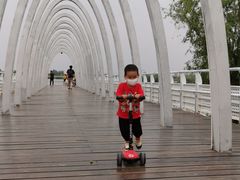 -大兴滨河森林公园