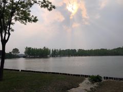 -石家庄市植物园