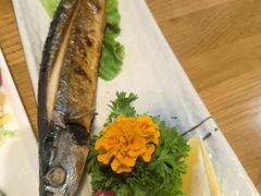 -樱の千渡日式料理·铁板烧•烧鸟(金盛田广场店)