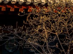 -万寿八仙宫