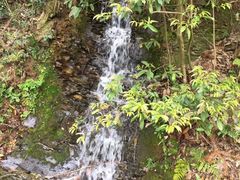 -小格里自然风景区