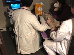 -宠爱国际动物医院·消化内科·心肾内科·ISFM猫友好(望京店)
