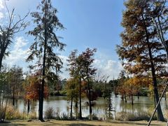 -上海长兴岛郊野公园