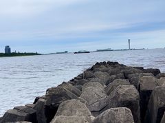 -上海滨江森林公园