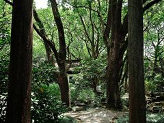 -上海醉白池公园