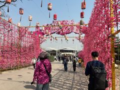 -北京凤凰岭