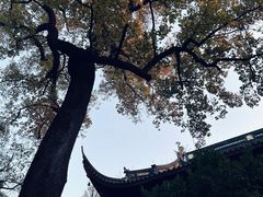 -灵隐飞来峰景区