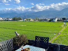 -喜林苑·稻田餐厅(品相府店)